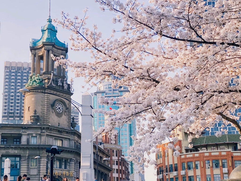 Tour Thượng Hải – Ô Trấn Tây Sách